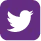 Twitter Icon